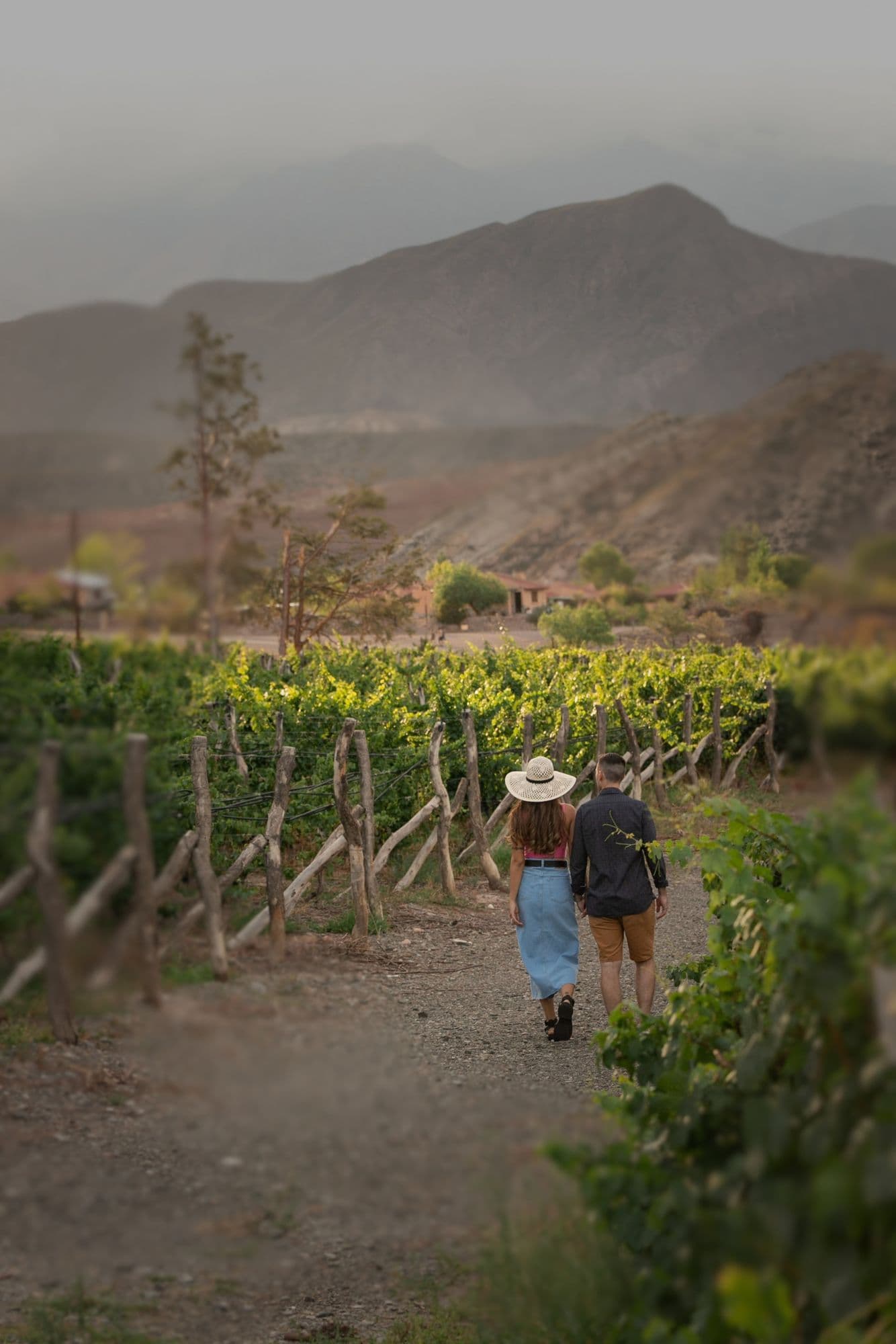 Our Essence: The Art of Living Baja